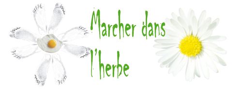 Marcher dans l'herbe